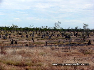 Termite mounds looking like headstones on way to Normanton