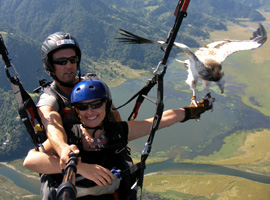 Parahawking in Pokhara