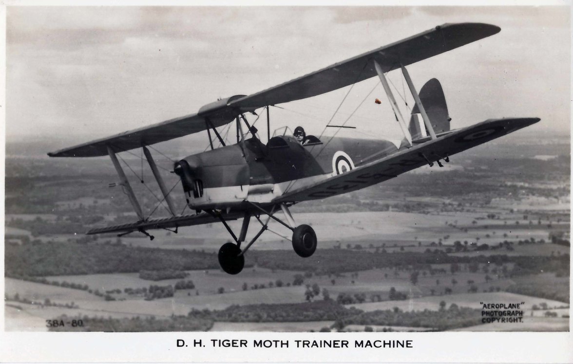 Tiger Moth Trainer