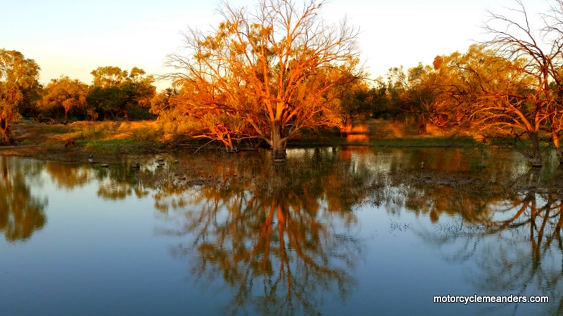 View from my tent at Wilcannia