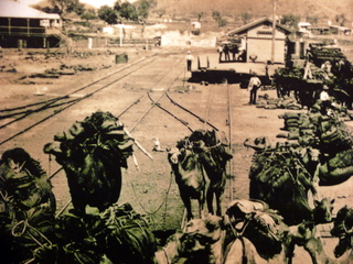 Typical railhead with cameleers - like Farina or Marree