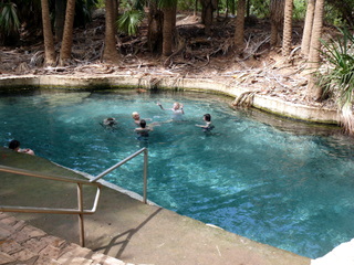 Mataranka thermal pool